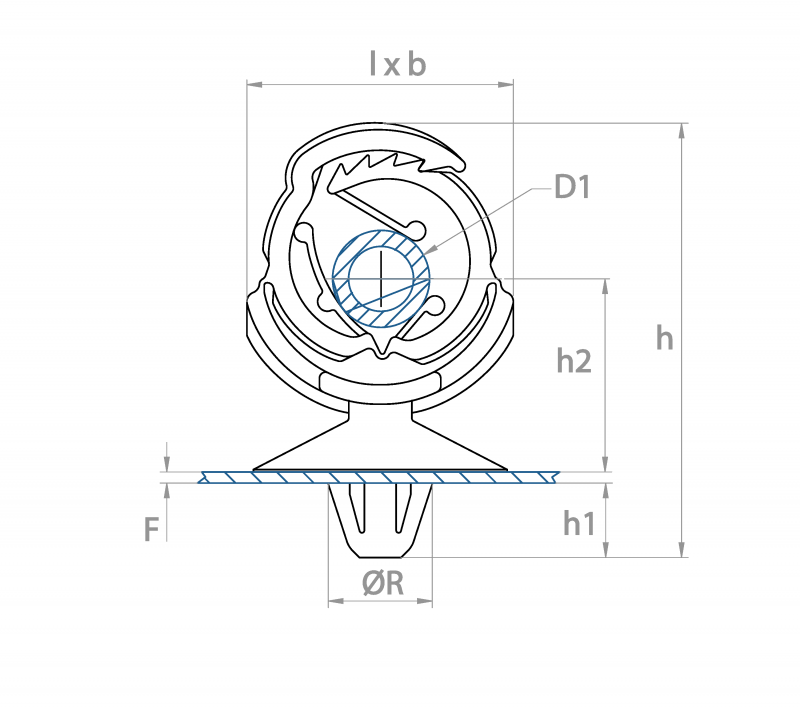 Class2_9-0008-800x800