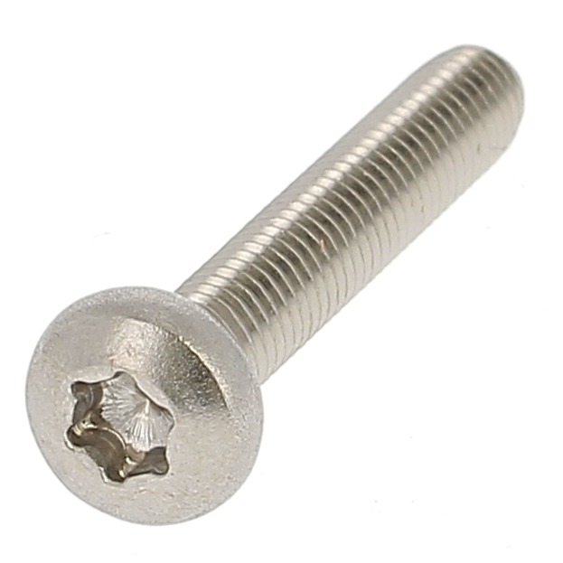 Autoformeuse Tête Cylindrique Bombée Torx Inox A2 DIN 7500C