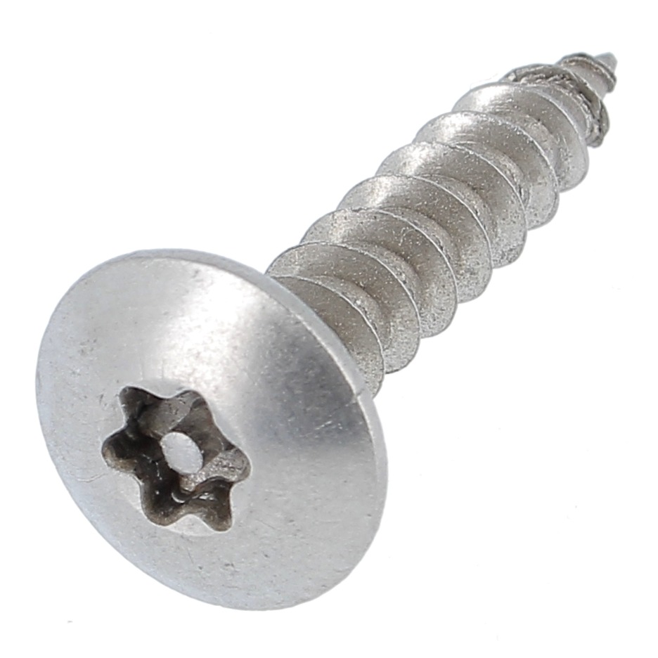 10 Vis Penture Inox A2 Viswood - Tête Cylindrique Bombée TX 6x25 Mm - Pour Charnières