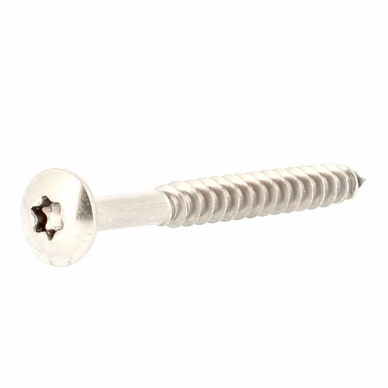 Vis de Penture Tête Ronde Large Torx Inox A2