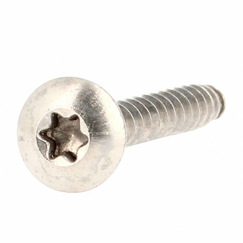 Vis de Penture Tête Ronde Large Torx Inox A4