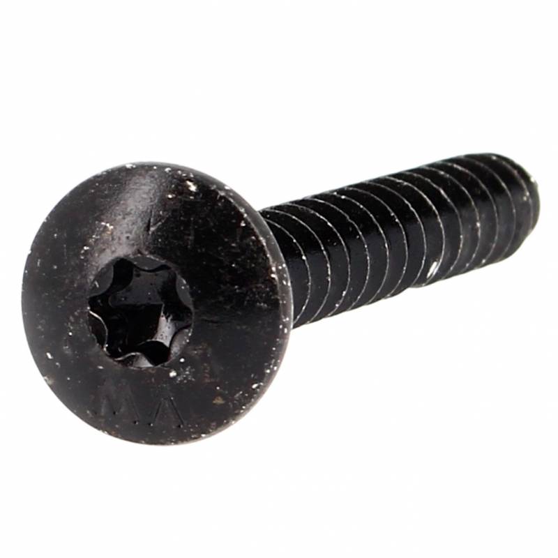 Vis de Penture Tête Ronde Large Torx Acier Zingué Noir